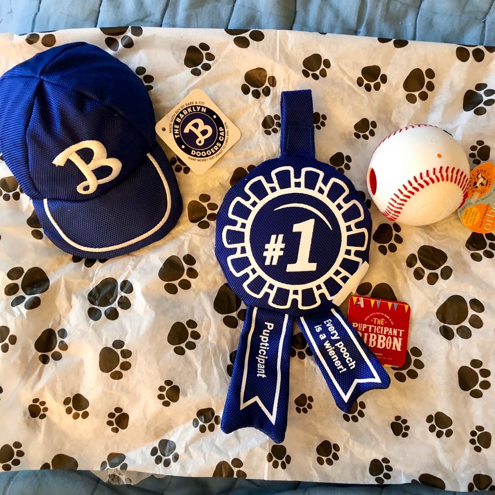 NWT Summertime Fun Dog Toys Set